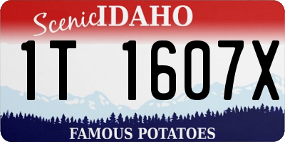 ID license plate 1T1607X