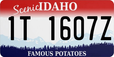ID license plate 1T1607Z