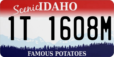 ID license plate 1T1608M
