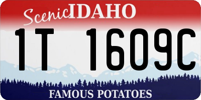 ID license plate 1T1609C