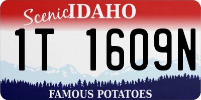 ID license plate 1T1609N