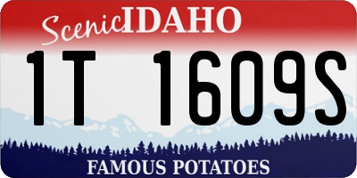ID license plate 1T1609S