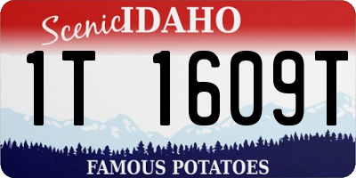 ID license plate 1T1609T