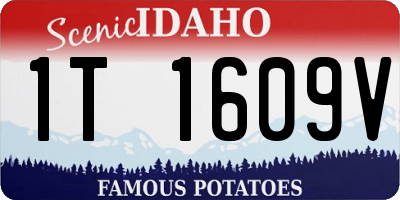ID license plate 1T1609V