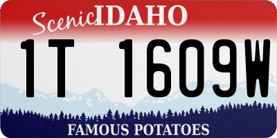 ID license plate 1T1609W