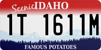 ID license plate 1T1611M