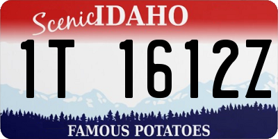 ID license plate 1T1612Z