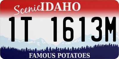 ID license plate 1T1613M