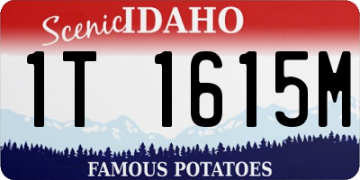 ID license plate 1T1615M