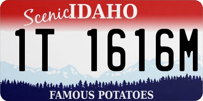 ID license plate 1T1616M