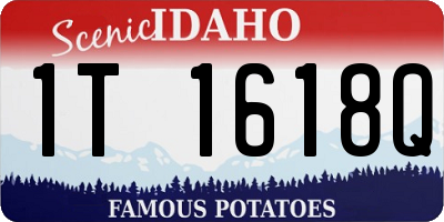 ID license plate 1T1618Q