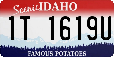 ID license plate 1T1619U
