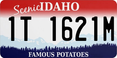 ID license plate 1T1621M