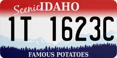 ID license plate 1T1623C