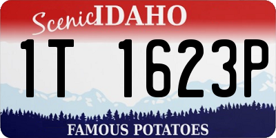 ID license plate 1T1623P