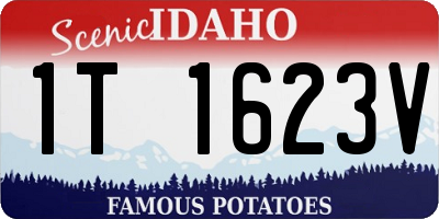 ID license plate 1T1623V