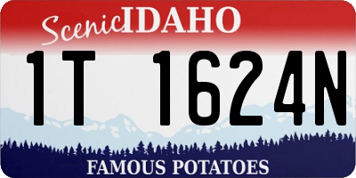 ID license plate 1T1624N