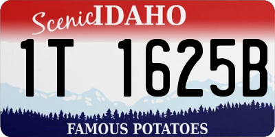 ID license plate 1T1625B