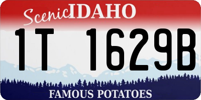 ID license plate 1T1629B
