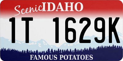 ID license plate 1T1629K