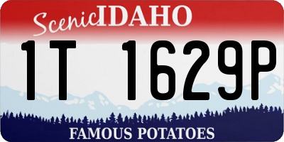 ID license plate 1T1629P
