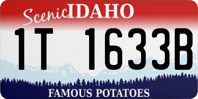 ID license plate 1T1633B