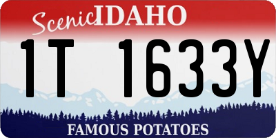 ID license plate 1T1633Y