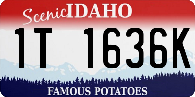 ID license plate 1T1636K