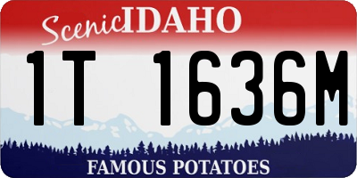 ID license plate 1T1636M