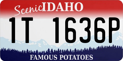 ID license plate 1T1636P