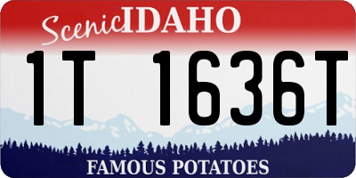 ID license plate 1T1636T