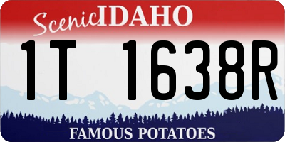 ID license plate 1T1638R