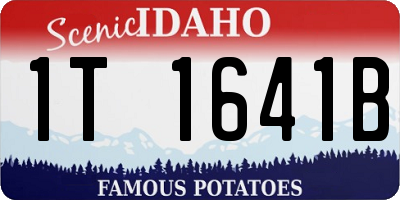 ID license plate 1T1641B