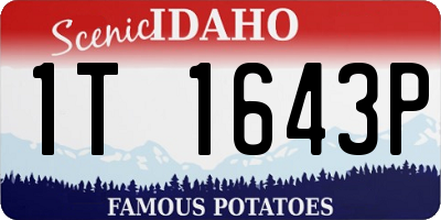 ID license plate 1T1643P
