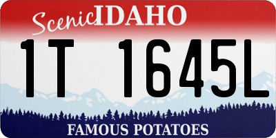 ID license plate 1T1645L