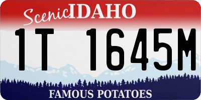 ID license plate 1T1645M