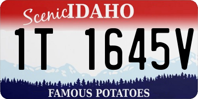 ID license plate 1T1645V