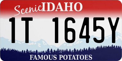 ID license plate 1T1645Y