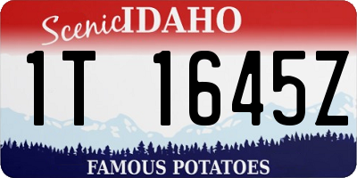ID license plate 1T1645Z