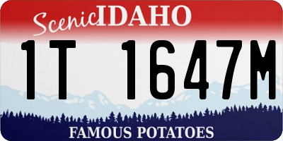 ID license plate 1T1647M