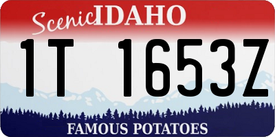 ID license plate 1T1653Z