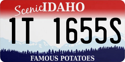 ID license plate 1T1655S