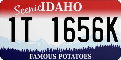 ID license plate 1T1656K
