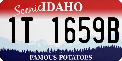 ID license plate 1T1659B