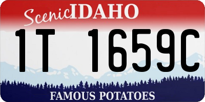 ID license plate 1T1659C