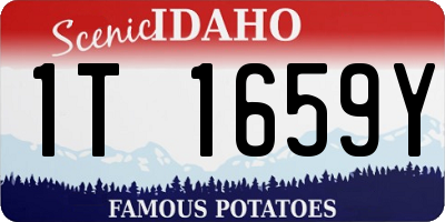 ID license plate 1T1659Y