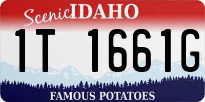 ID license plate 1T1661G