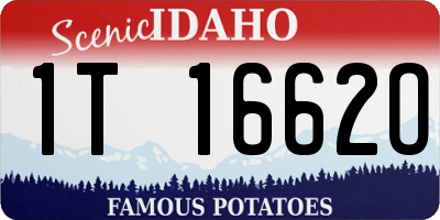 ID license plate 1T1662O