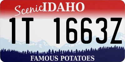 ID license plate 1T1663Z