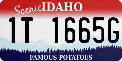 ID license plate 1T1665G